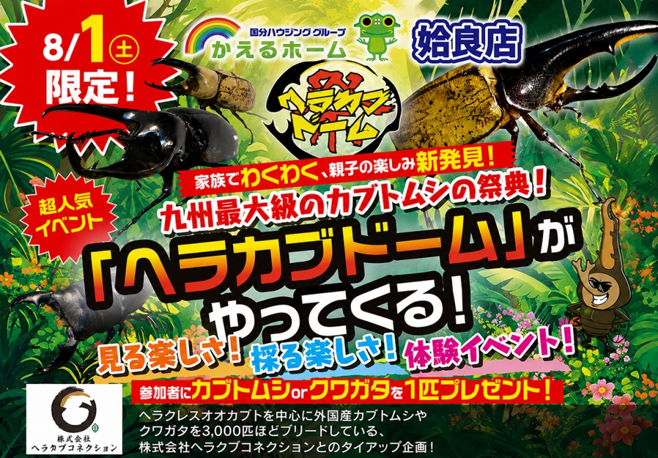 ヘラカブドームがやってくる！